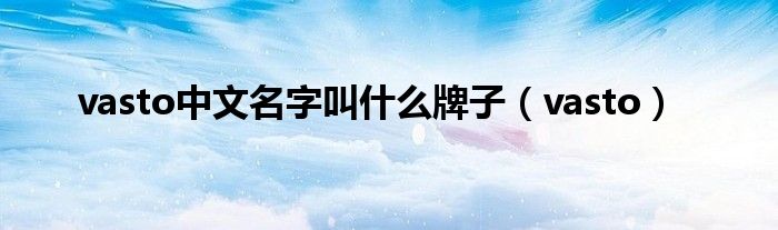 vasto中文名字叫什么牌子(vasto)