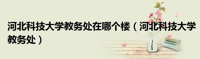 河北科技大学教务处在哪个楼(河北科技大学教务处)