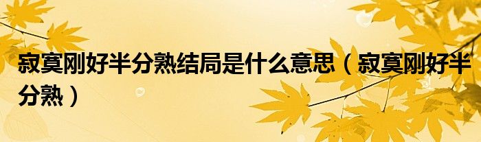 寂寞刚好半分熟结局是什么意思(寂寞刚好半分熟)