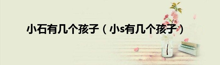 小石有几个孩子(小s有几个孩子)