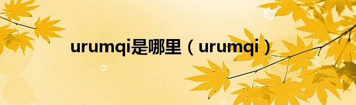 urumqi是哪里(urumqi)