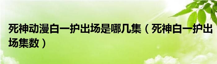 死神动漫白一护出场是哪几集(死神白一护出场集数)