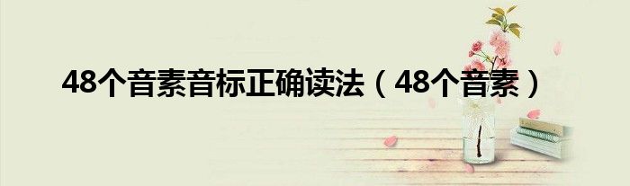 48个音素音标正确读法(48个音素)