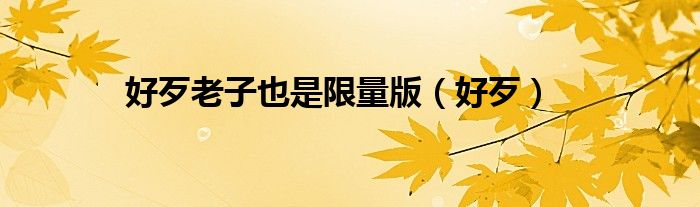 好歹老子也是限量版(好歹)