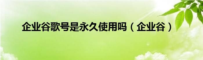 企业谷歌号是永久使用吗(企业谷)