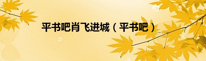 平书吧肖飞进城（平书吧）