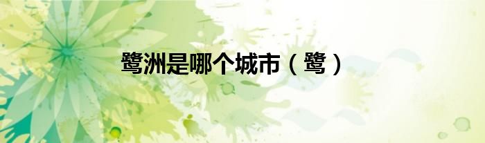 鹭洲是哪个城市（鹭）