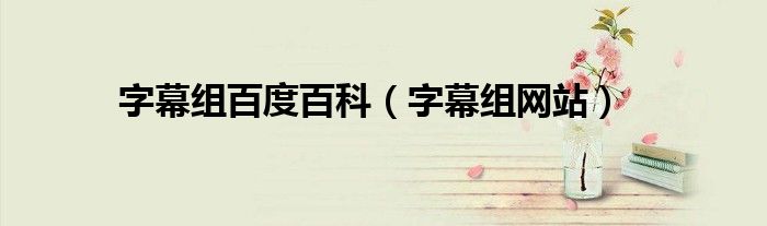 字幕组百度百科(字幕组网站)