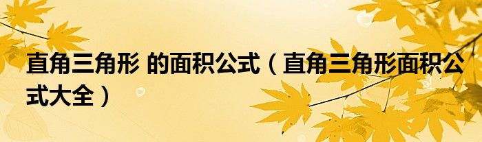 直角三角形 的面积公式(直角三角形面积公式大全)