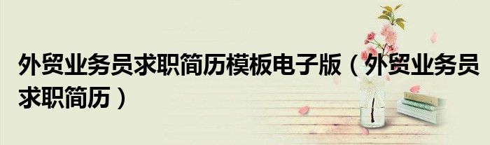 外贸业务员求职简历模板电子版(外贸业务员求职简历)