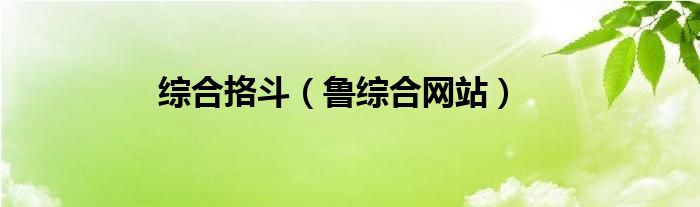 综合挌斗（鲁综合网站）
