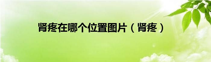 肾疼在哪个位置图片(肾疼)