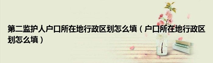 第二监护人户口所在地行政区划怎么填(户口所在地行政区划怎么填)