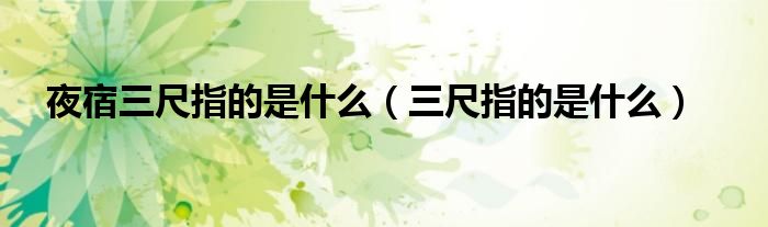 夜宿三尺指的是什么(三尺指的是什么)