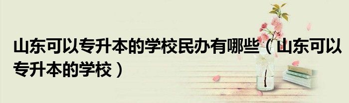 山东可以专升本的学校民办有哪些(山东可以专升本的学校)