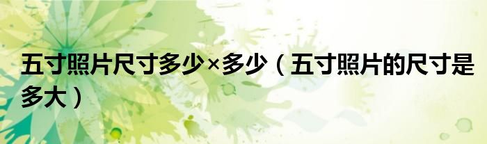 五寸照片尺寸多少×多少(五寸照片的尺寸是多大)