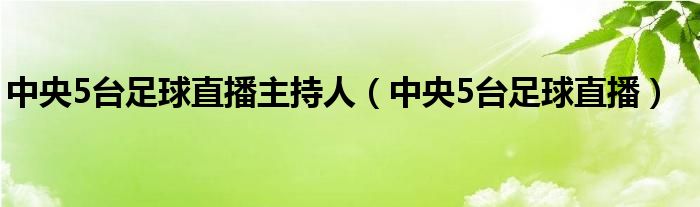 中央5台足球直播主持人(中央5台足球直播)