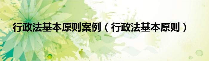 行政法基本原则案例(行政法基本原则)