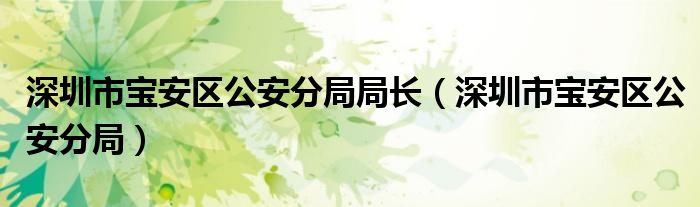 深圳市宝安区公安分局局长(深圳市宝安区公安分局)