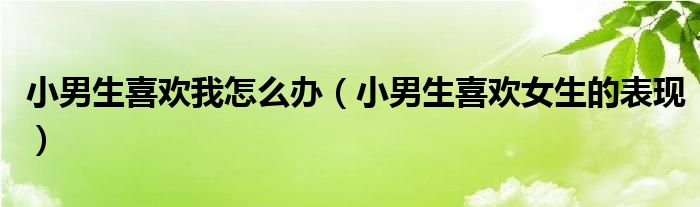 小男生喜欢我怎么办(小男生喜欢女生的表现)
