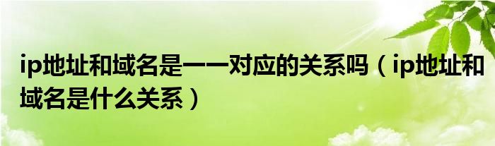 ip地址和域名是一一对应的关系吗(ip地址和域名是什么关系)