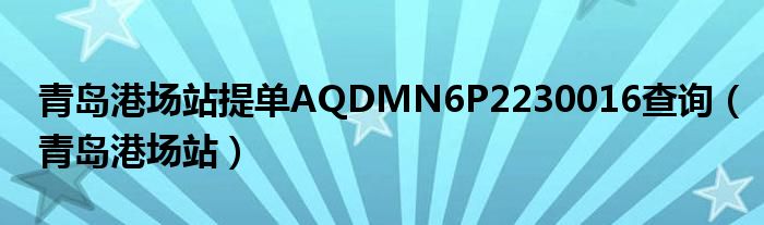 青岛港场站提单AQDMN6P2230016查询(青岛港场站)