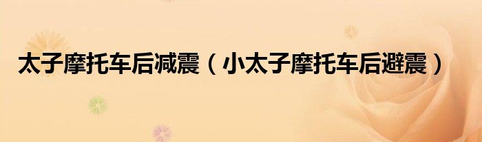 太子摩托车后减震(小太子摩托车后避震)