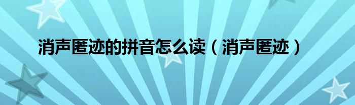 消声匿迹的拼音怎么读(消声匿迹)