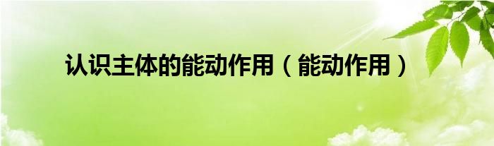 认识主体的能动作用(能动作用)