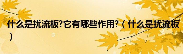 什么是扰流板?它有哪些作用?(什么是扰流板)