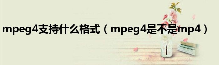 mpeg4支持什么格式(mpeg4是不是mp4)