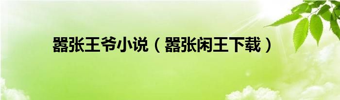 嚣张王爷小说(嚣张闲王下载)