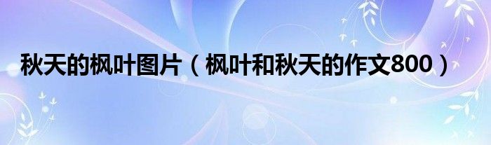 秋天的枫叶图片(枫叶和秋天的作文800)