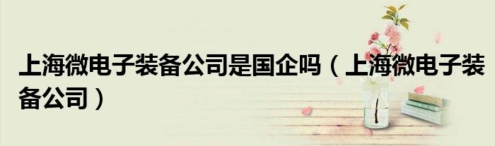 上海微电子装备公司是国企吗(上海微电子装备公司)