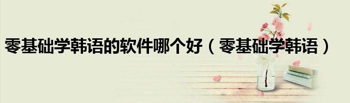 零基础学韩语的软件哪个好(零基础学韩语)