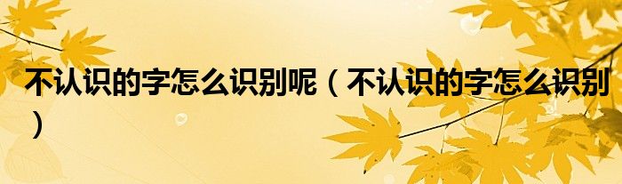 不认识的字怎么识别呢(不认识的字怎么识别)