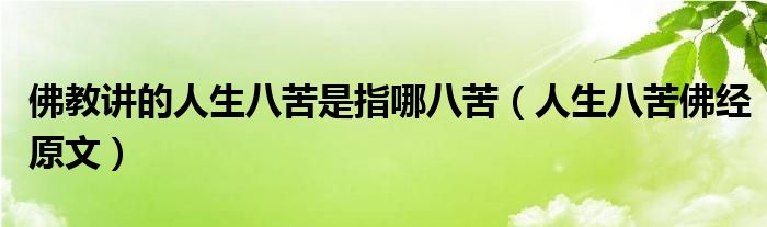 佛教讲的人生八苦是指哪八苦(人生八苦佛经原文)