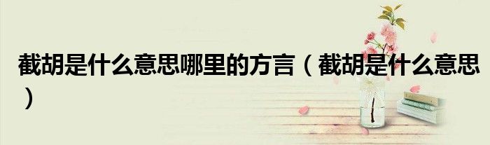 截胡是什么意思哪里的方言(截胡是什么意思)