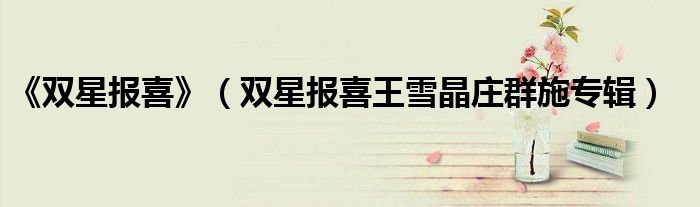 《双星报喜》(双星报喜王雪晶庄群施专辑)