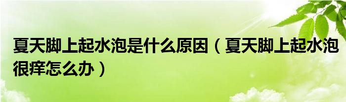 夏天脚上起水泡是什么原因(夏天脚上起水泡很痒怎么办)