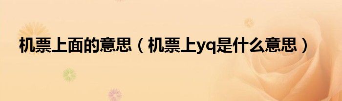 机票上面的意思(机票上yq是什么意思)