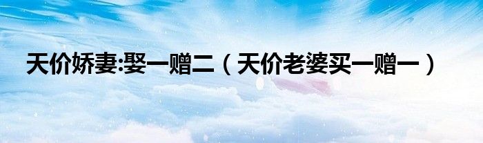 天价娇妻:娶一赠二(天价老婆买一赠一)