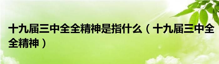 十九届三中全全精神是指什么(十九届三中全全精神)