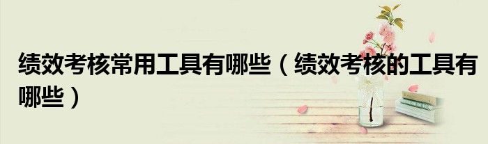 绩效考核常用工具有哪些(绩效考核的工具有哪些)