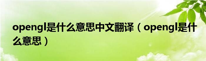 opengl是什么意思中文翻译(opengl是什么意思)