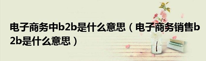电子商务中b2b是什么意思(电子商务销售b2b是什么意思)