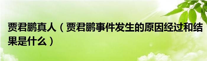 贾君鹏真人(贾君鹏事件发生的原因经过和结果是什么)
