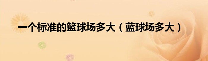 一个标准的篮球场多大（蓝球场多大）
