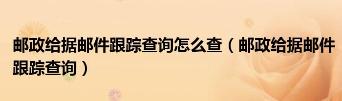 邮政给据邮件跟踪查询怎么查(邮政给据邮件跟踪查询)