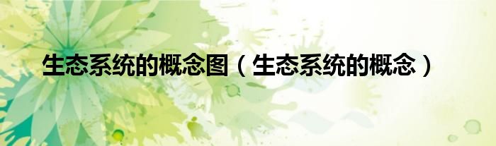 生态系统的概念图(生态系统的概念)